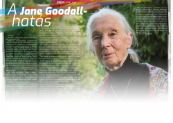 A JANE GOODALL-HATÁS